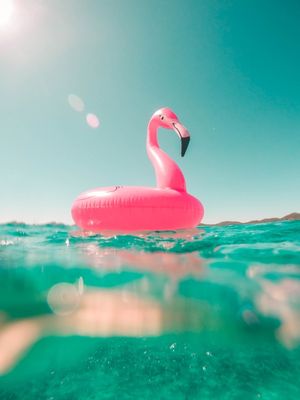 FLAMINGO ROSA 09