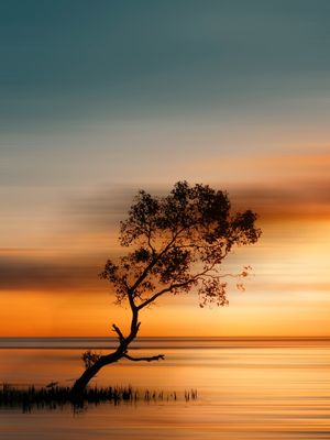PÔR DO SOL NO LAGO COM ÁRVORE