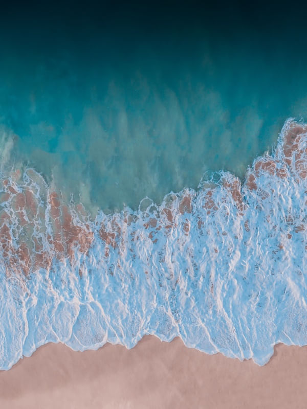 OCEANO INFINITO 77