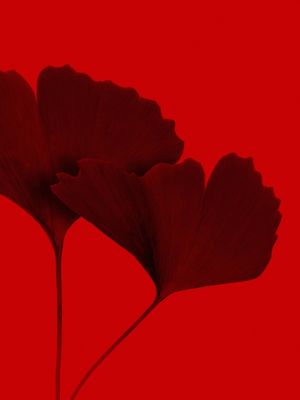 09 RED FLOWER