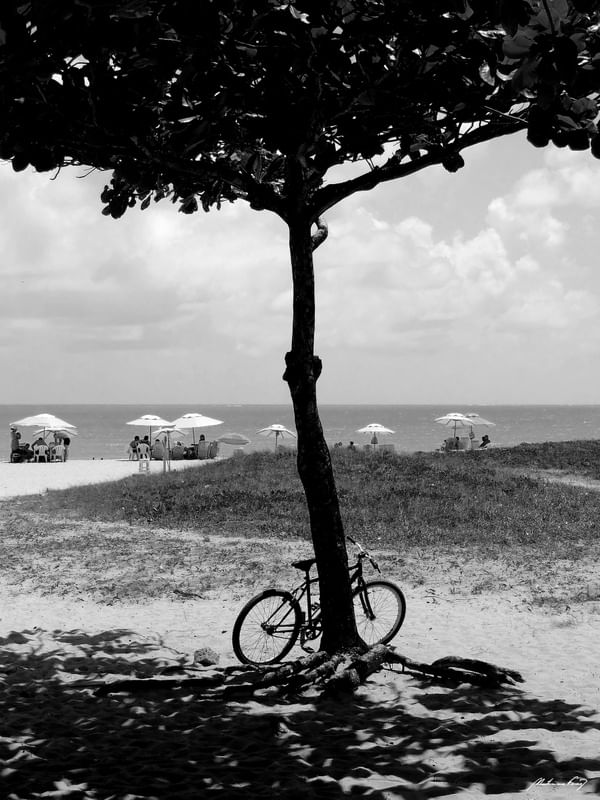 SOMBRA E BIKE