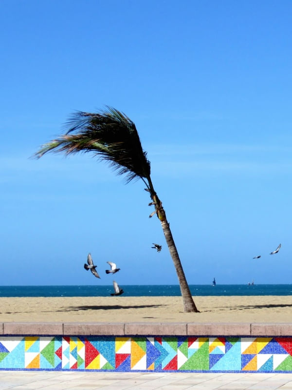 PRAIA E VENTO