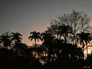 NATUREZA AO ANOITECER