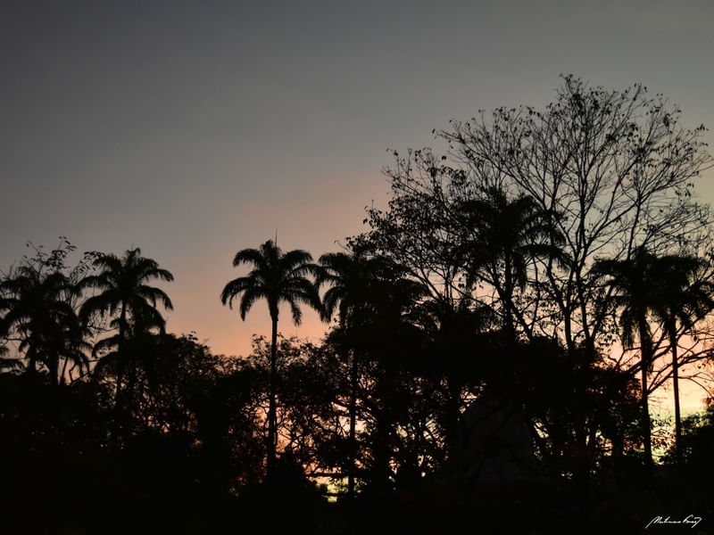 NATUREZA AO ANOITECER
