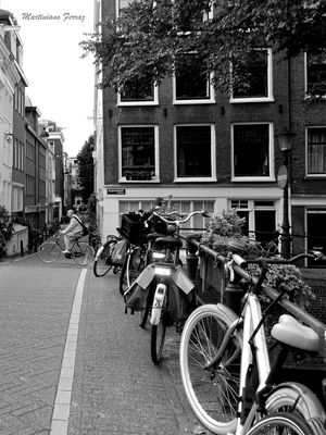 EM AMSTERDÃ VIII