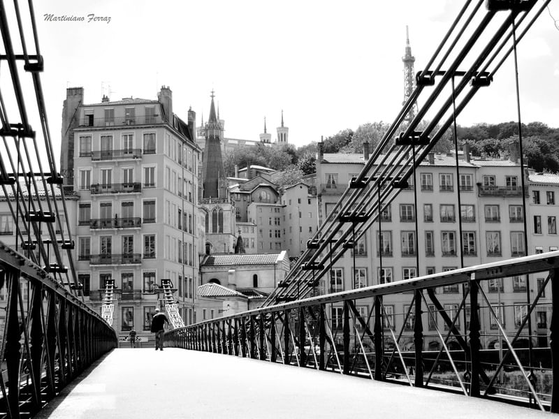 EM LYON