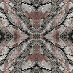 ABSTRATO EM MADEIRA - I