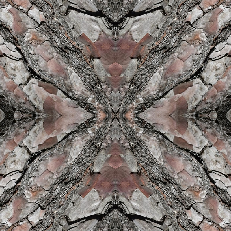 ABSTRATO EM MADEIRA - I