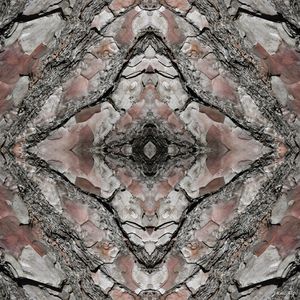ABSTRATO EM MADEIRA - II