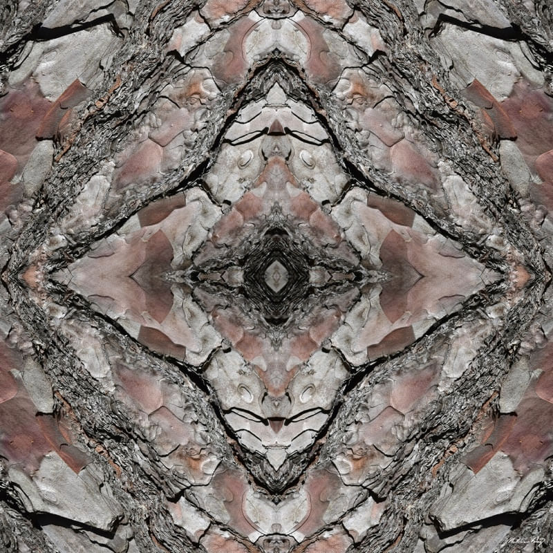 ABSTRATO EM MADEIRA - II