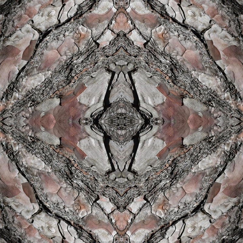 ABSTRATO EM MADEIRA - IV