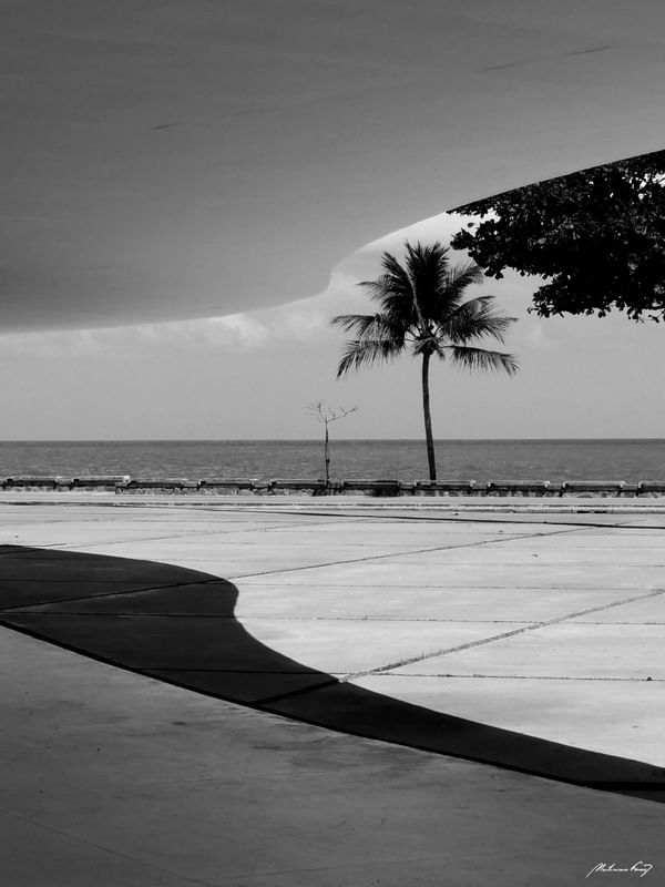 CIDADE- RECIFE A PRAIA E A OBRA DE NIEMEYER - PRAIA