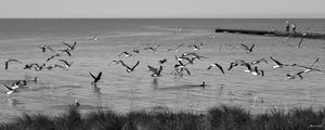 NATUREZA EXUBERANTE (PB)