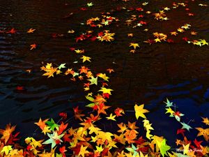 CORES DA NATUREZA
