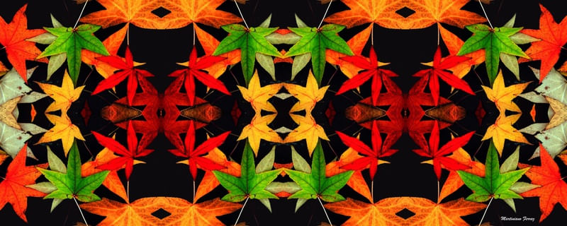 NATUREZA EM CORES - PANORÂMICA