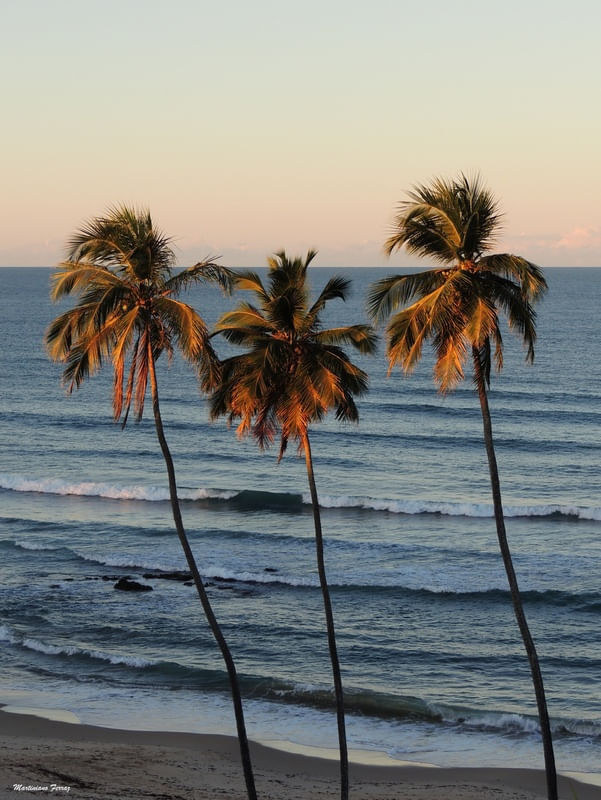 PRAIA DE ITAPUAMA II