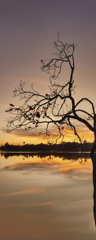 SM - PAMPULHA 02