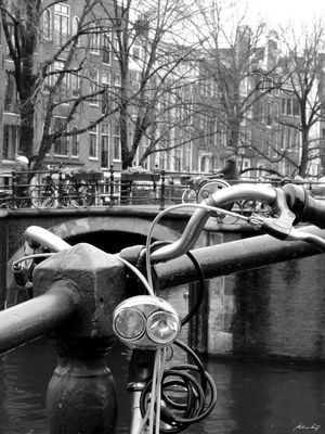 BIKE EM AMSTERDÃ II