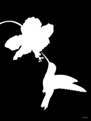 BEIJA-FLOR BRANCO E PRETO