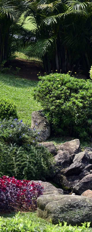 JARDIM TROPICAL (TRÍPTICO A)