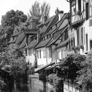 COLMAR 01