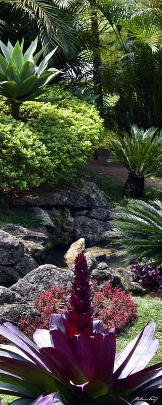 JARDIM TROPICAL (TRÍPTICO C)