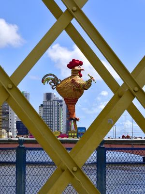CARNAVAL EM RECIFE
