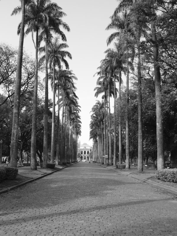 BH - PRAÇA DA LIBERDADE 03