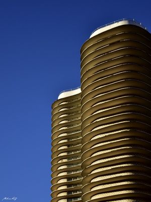 ED. NIEMEYER - III