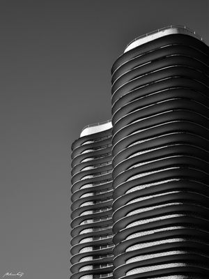 ED. NIEMEYER - III (PB)