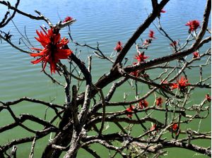 NATUREZA FASCINANTE