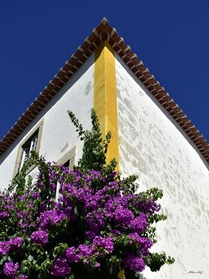 NATUREZA E ARQUITETURA DE ÓBIDOS