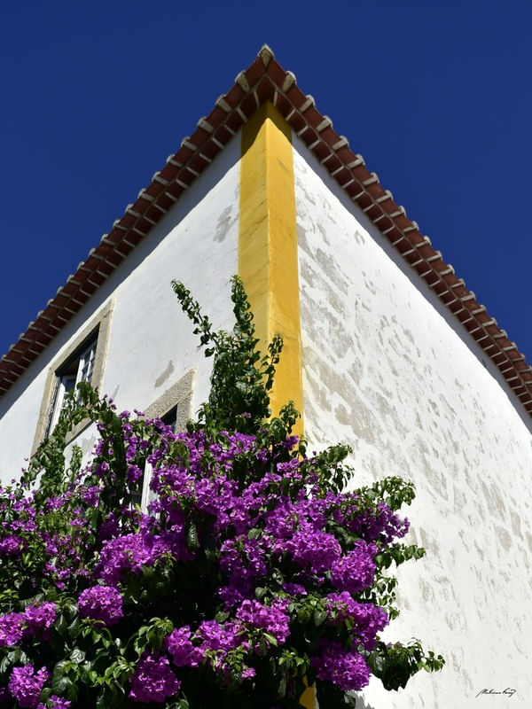 NATUREZA E ARQUITETURA DE ÓBIDOS
