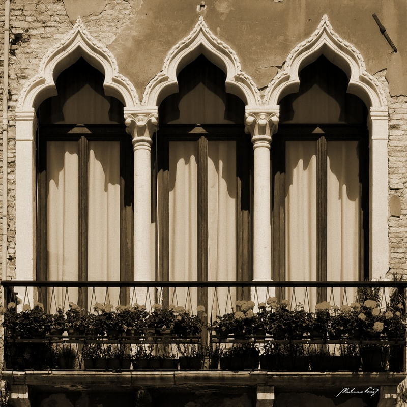 SACADA VENEZIANA (SÉPIA)