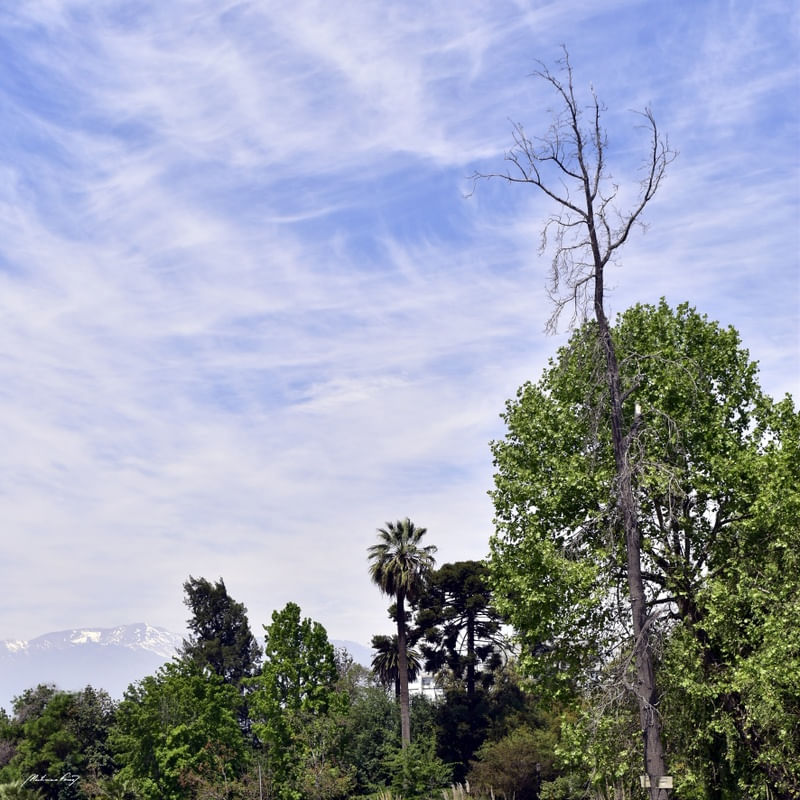 NATUREZA DO CHILE