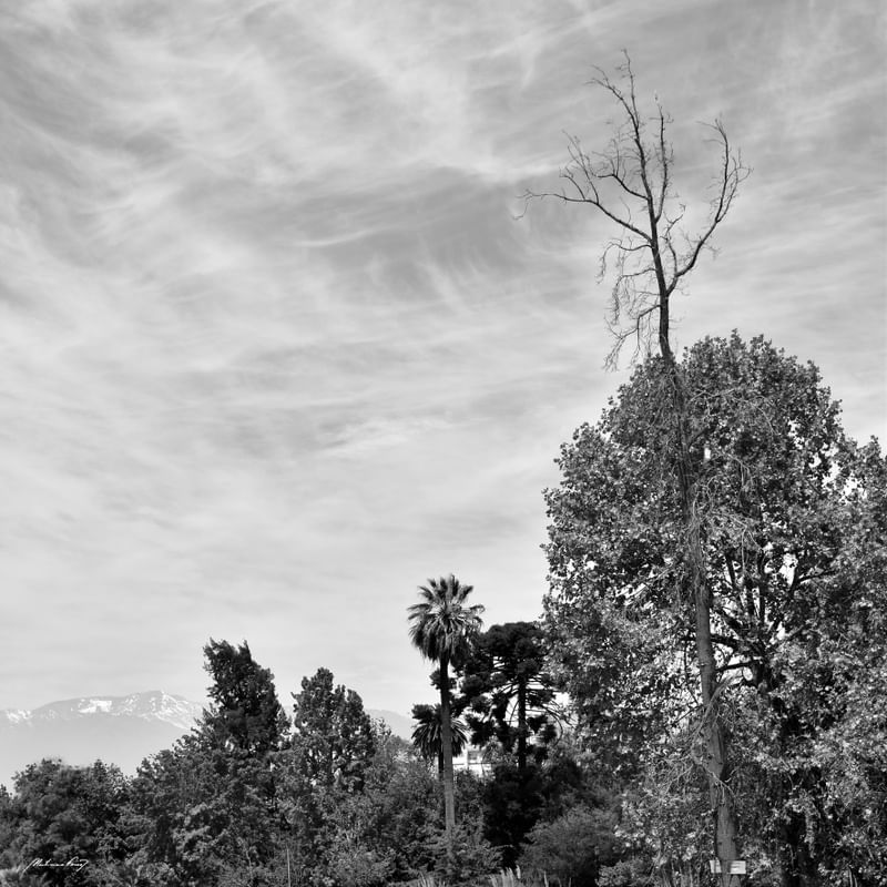 NATUREZA DO CHILE (PB)
