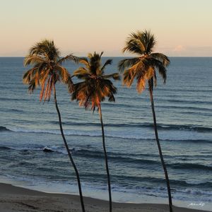 PRAIA DE ITAPUAMA III