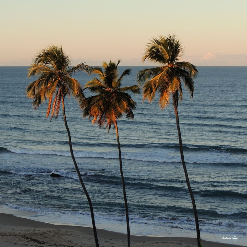 PRAIA DE ITAPUAMA III