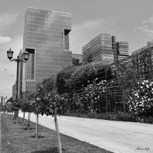 SANTIAGO - I (PB)