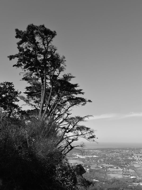 NAS MONTANHAS DE SINTRA (PB)