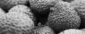 EMPÓRIO PB - FRUTAS 01