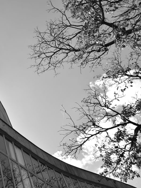 MUSEU DE ARTE DA PAMPULHA - II (DÍPTICO B)