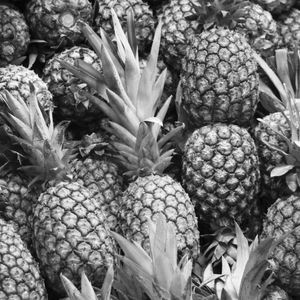 EMPÓRIO PB - FRUTAS 03