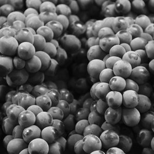 EMPÓRIO PB - FRUTAS 05