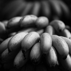 EMPÓRIO PB - FRUTAS 10