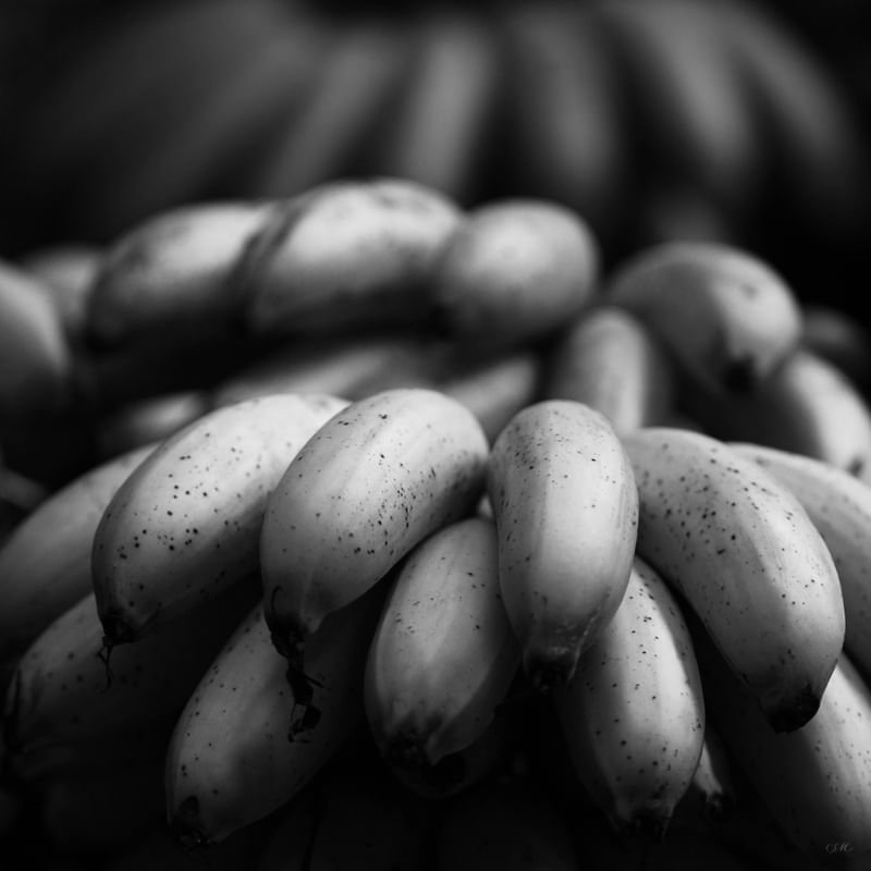 EMPÓRIO PB - FRUTAS 10