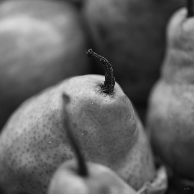 EMPÓRIO PB - FRUTAS 13
