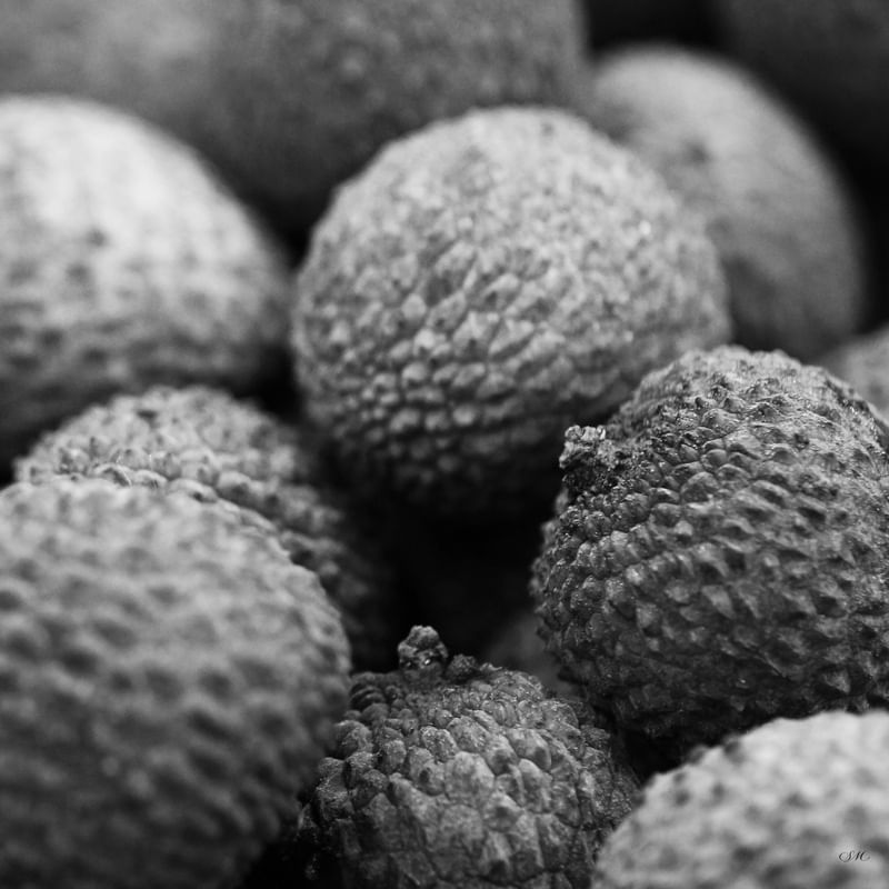 EMPÓRIO PB - FRUTAS 14