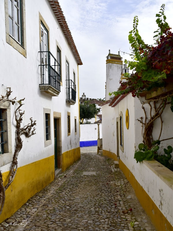 ÓBIDOS - PORTUGAL - IV