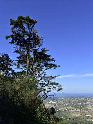 NAS MONTANHAS DE SINTRA